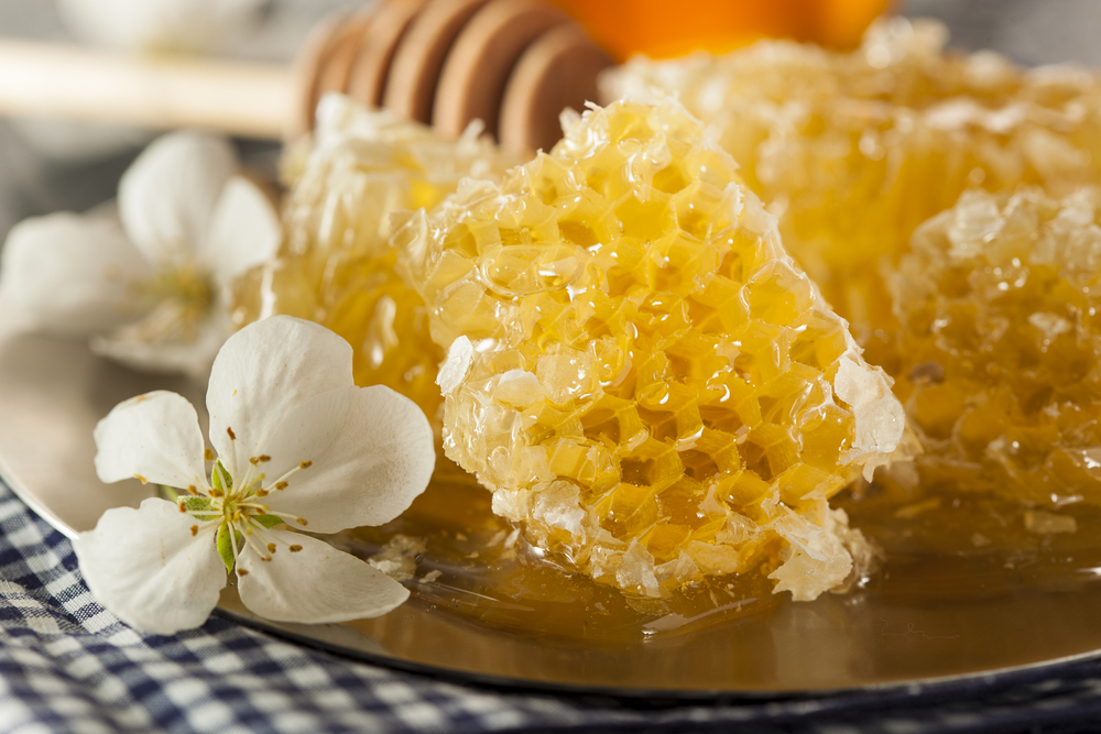 Conservarea mierii, conservarea mierii in faguri si sectiuni