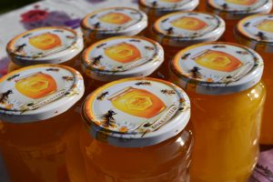 Start up in apicultura primii pasi in apicultura